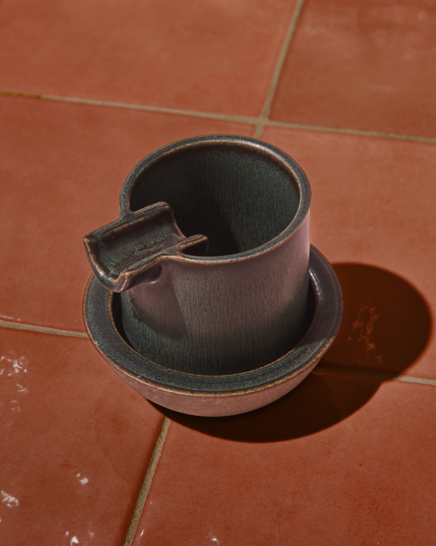 Houseplant