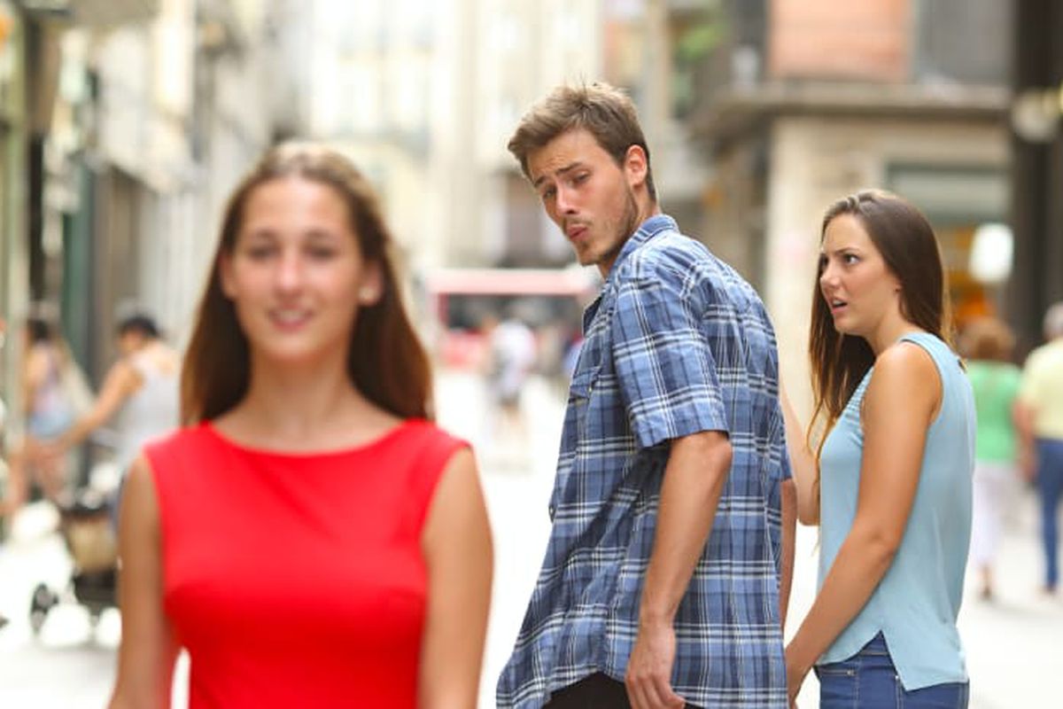 Distracted Boyfriend meme about Houseplant